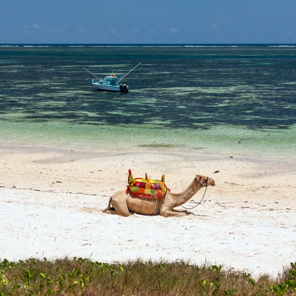 Tunisia: Un amalgam de istorie, cultură și relaxare sub soarele arzător al Mediteranei